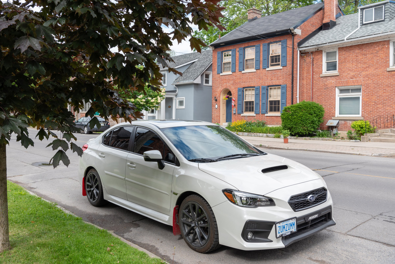 Illustration for article titled Pics from the Curbside: 2019-06-29 and 30 from Wolfe Island and Portsmouth Olympic Harbour